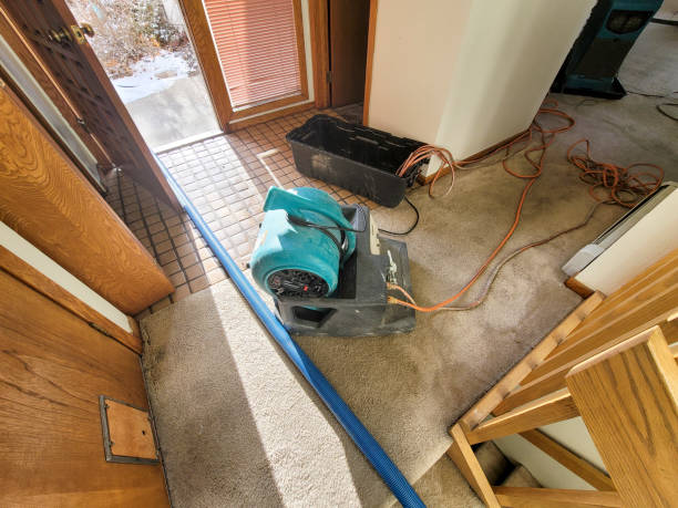  Stevenson Ranch, CA Water damage restoration Pros