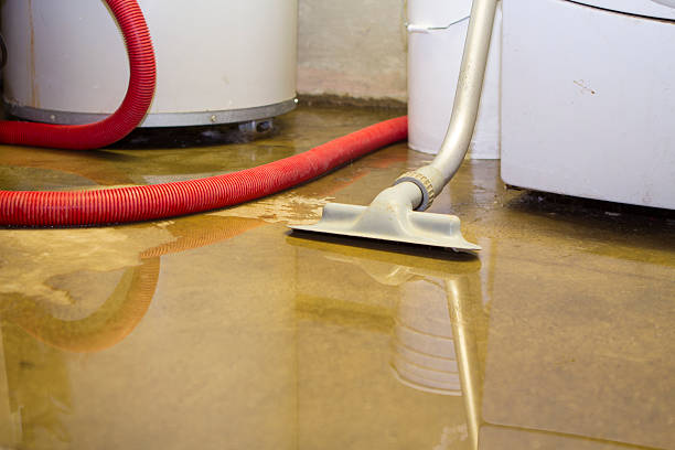 Best Professional water damage repair  in Stevenson Ranch, CA