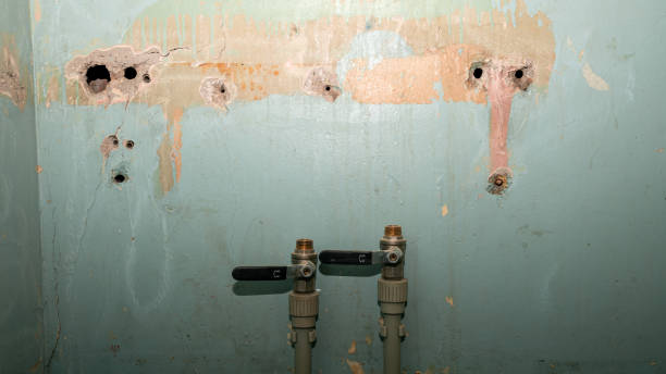 Best Water damage restoration near me  in Stevenson Ranch, CA