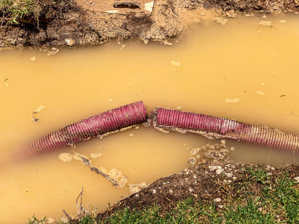 Best Water damage restoration cost  in Stevenson Ranch, CA